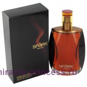 Liz Claiborne Spark for Men