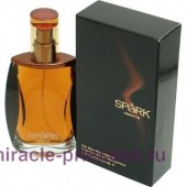 Liz Claiborne Spark for Men