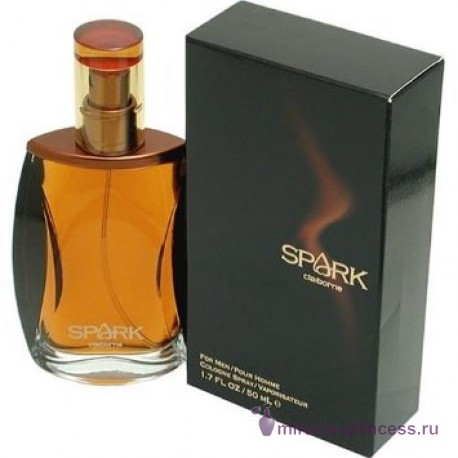 Liz Claiborne Spark for Men 22