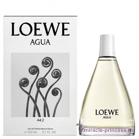 Loewe Agua 44.2 22