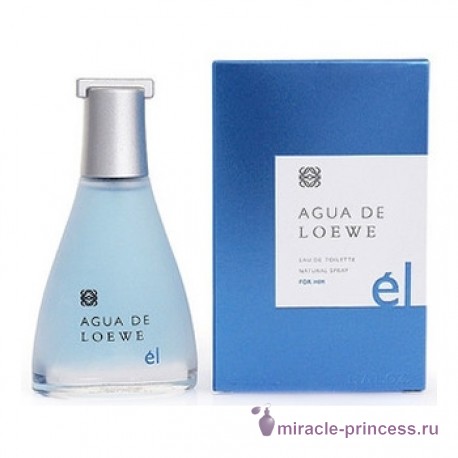 Loewe Agua De Loewe for him 22