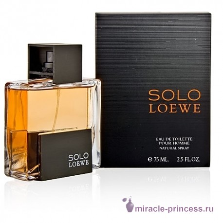 Loewe Solo 22