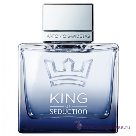 Antonio Banderas King of Seduction 11