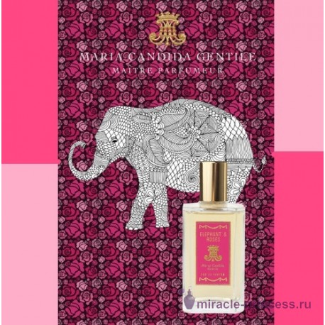 Maria Candida Gentile Elephant & Roses 22