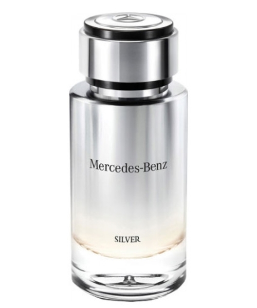 Mercedes-benz Silver