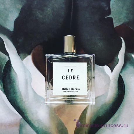 Miller Harris Le Cedre 22