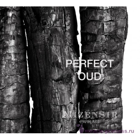 Mizensir Perfect Oud 22