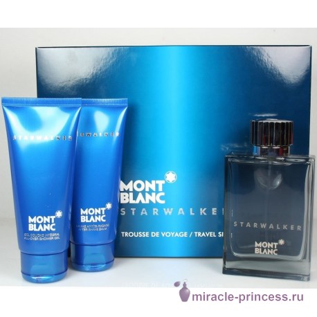 Mont Blanc Starwalker 22