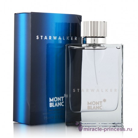 Mont Blanc Starwalker 22