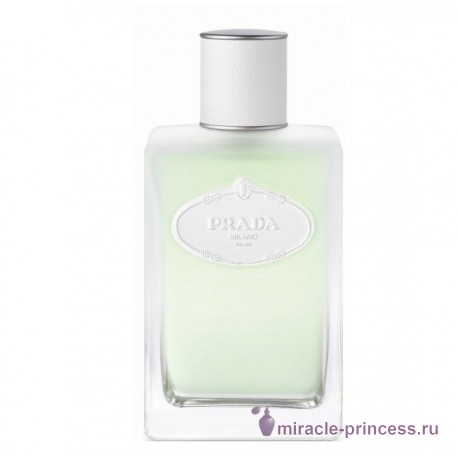 Prada Infusion D`iris Pallida 11