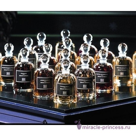 Serge Lutens Boxeuses 22