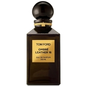 Tom Ford Ombre Leather 16