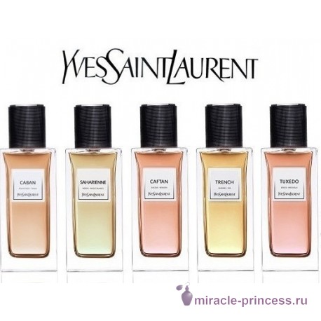 Yves Saint Laurent Caban 22