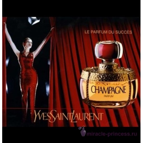 Yves Saint Laurent Champagne 22