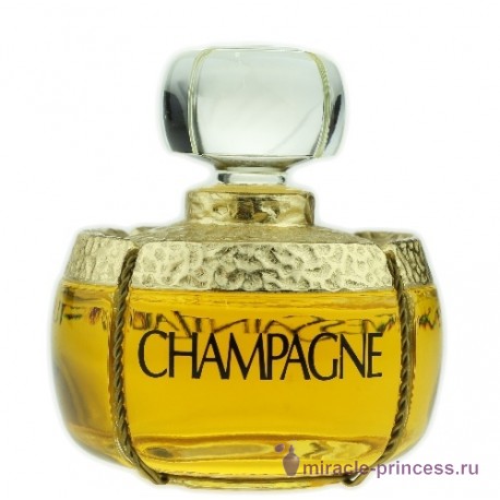 Yves Saint Laurent Champagne 11