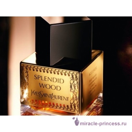 Yves Saint Laurent Splendid Wood 22