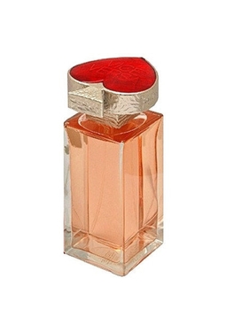 Yves Saint Laurent Vice versa
