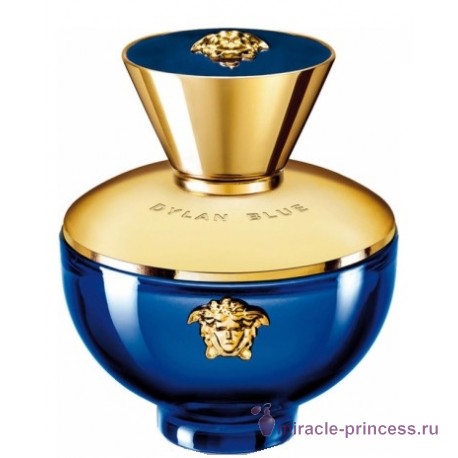 Versace Pour Femme Dylan Blue 11