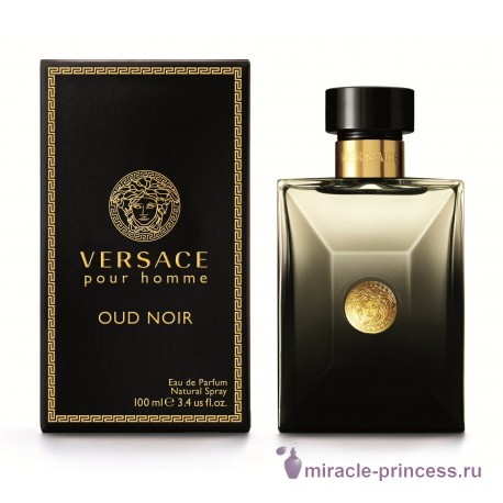 Versace Pour Homme Oud Noir 22
